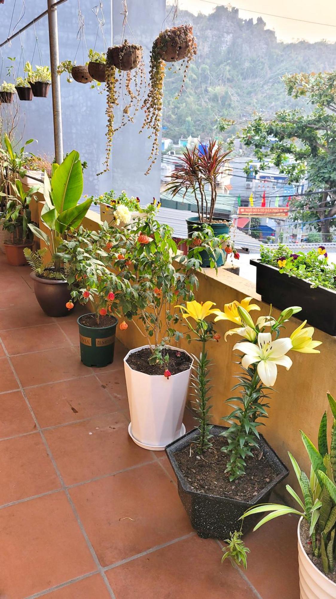 Hotel Tiny Garden House Cat Ba Chan Chau Esterno foto